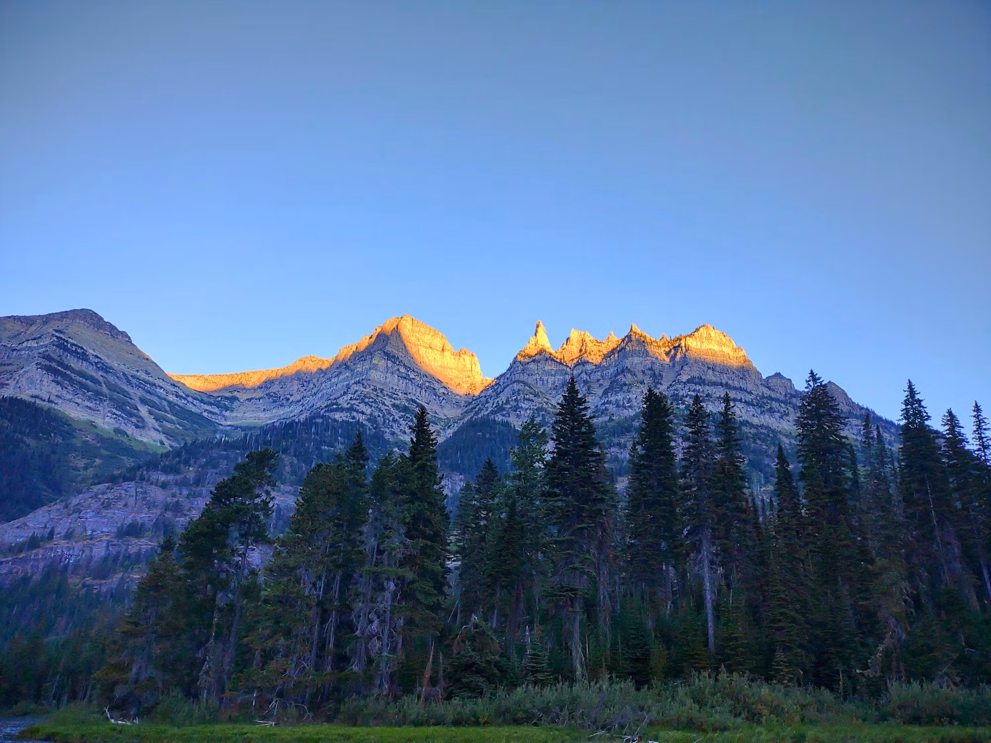 Culinary Journeys: Exploring the World Through Food